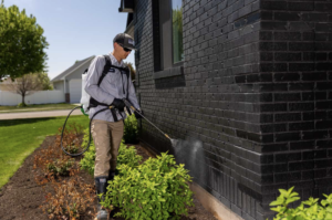 Person pressure washing a black brick wall outdoors.