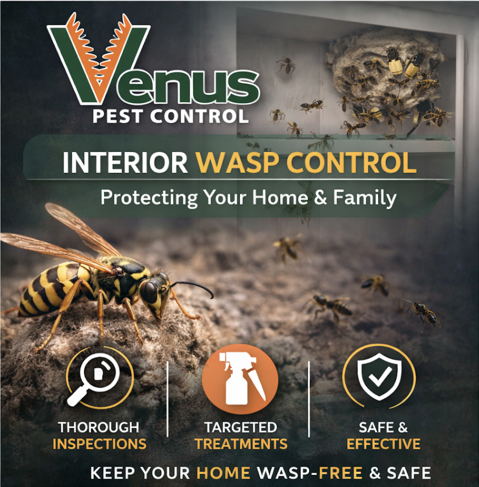 Venus Pest Control offers effective interior wasp control for home safety.