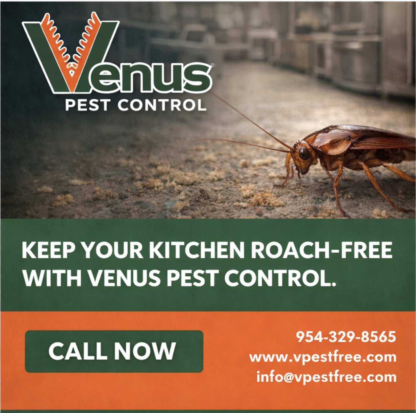 Venus Pest Control ad promoting roach-free kitchens.